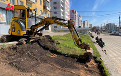 В Кирове на 25 газонах проведут реновацию